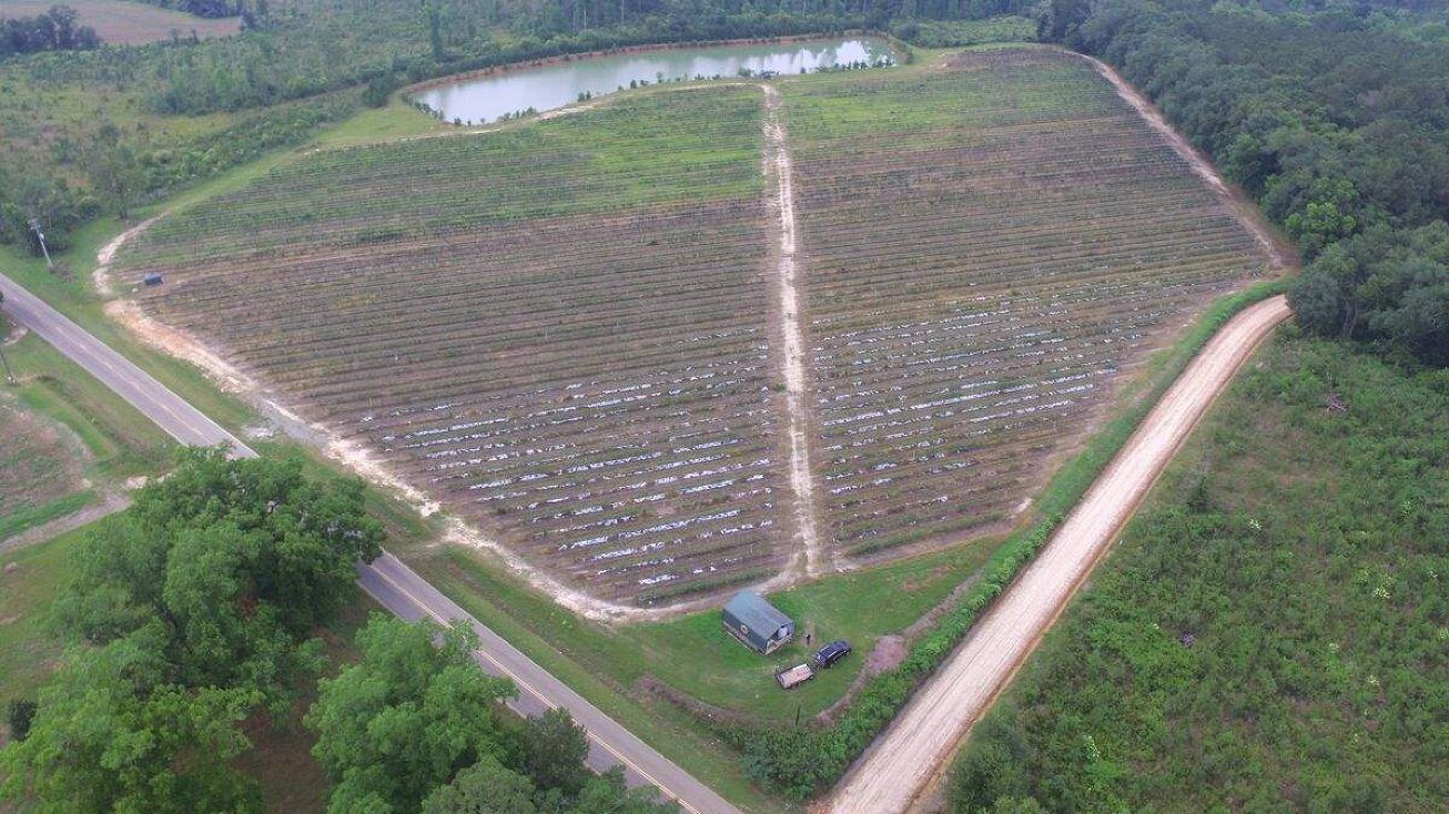 Harmony Rd, Meigs, GA 31765