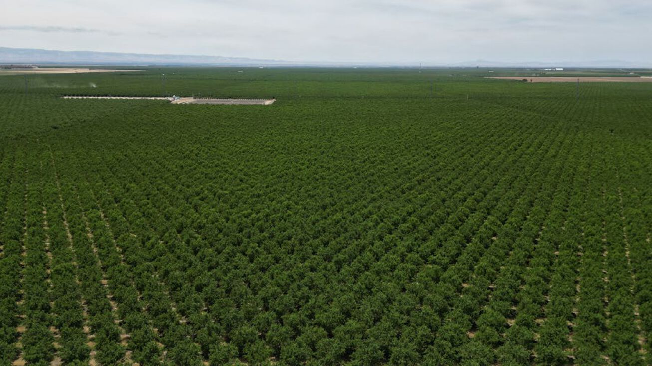 Wasco Almonds Portwood Kern Ranch, Bakersfield, CA 93302 Land for