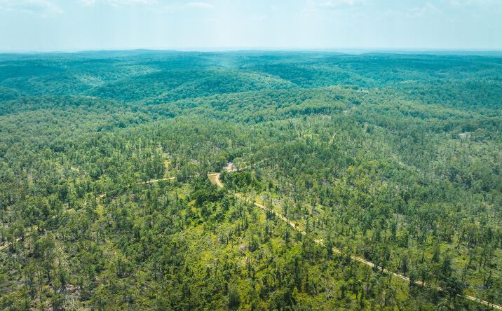 Pictures of Land property located at County Road D-325, Eminence, MO 65466 for sales - image #1