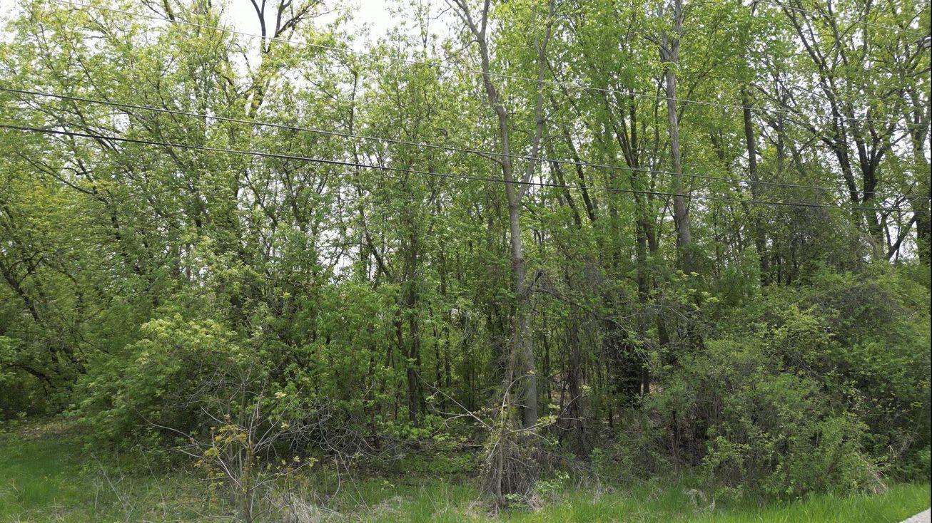 Michigan St, Omro, WI 54963