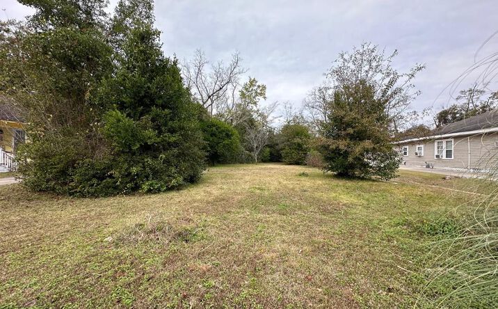 Pictures of Land property located at 206 Oak St, Brundidge, AL 36010 for sales - image #1
