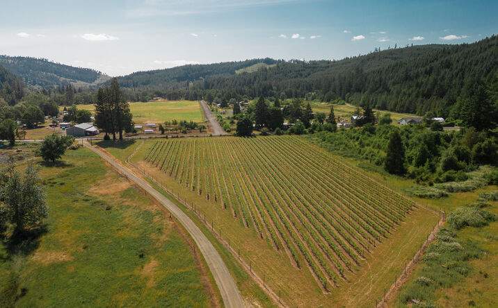 Pictures of Land property located at 8881 Nonpareil Rd, Sutherlin, OR 97479 for sales - image #1
