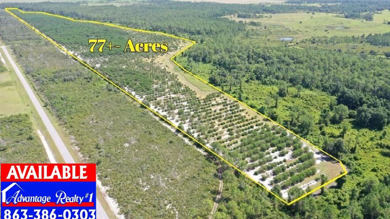 Riverdale Rd, Avon Park, FL 33825 Land for Sale Riverdale Road