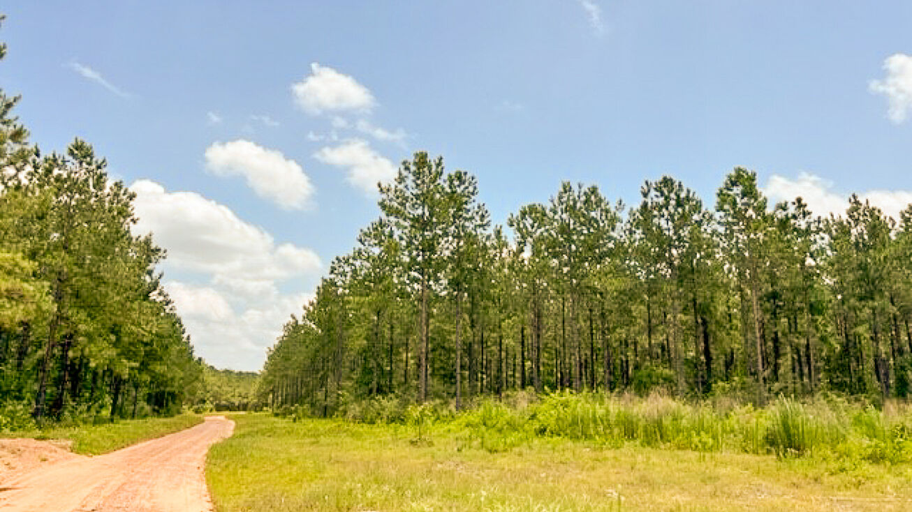 00 Co Rd 1425, Warren, TX 77664 Land for Sale 26 Acres CR 1425 T12