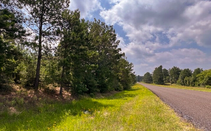 Pictures of Land property located at 0 FM 92, Homer, TX 75938 for sales - image #1