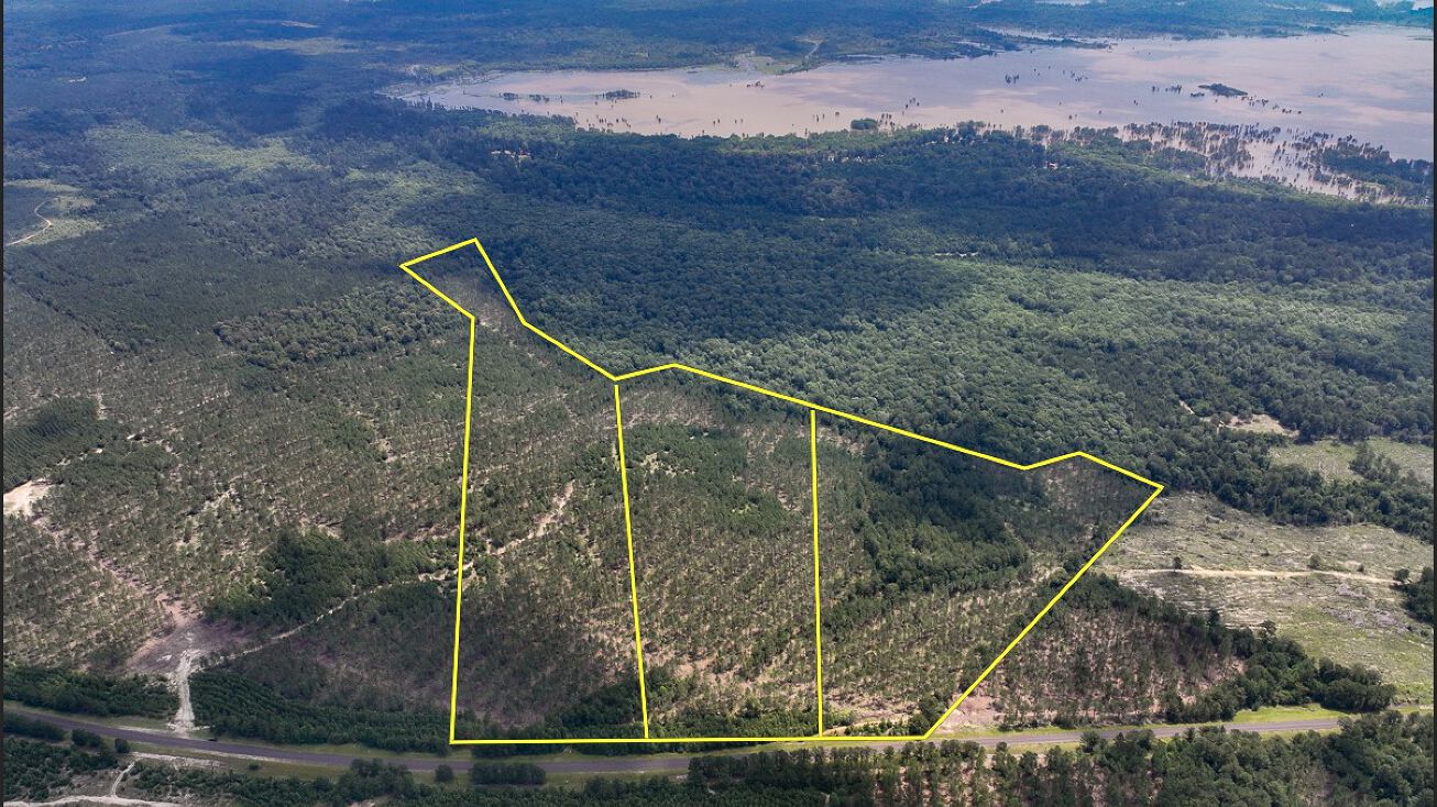 00 FM 92, Homer, TX 75938 Land for Sale 34 acres FM 92 T12