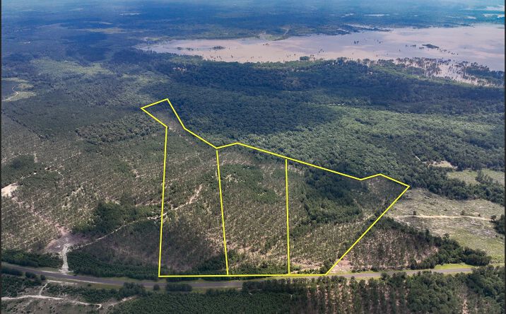 Pictures of Land property located at 000 FM  92, Homer, TX 75938 for sales - image #1