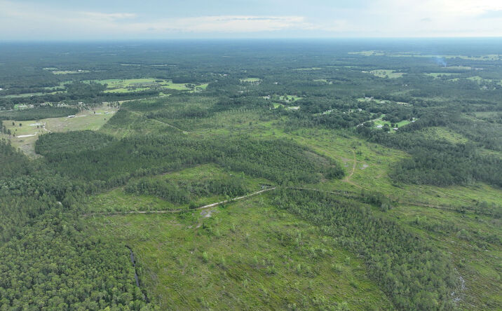 Pictures of Land property located at Noah Raulerson Rd, Sanderson, FL 32087 for sales - image #1