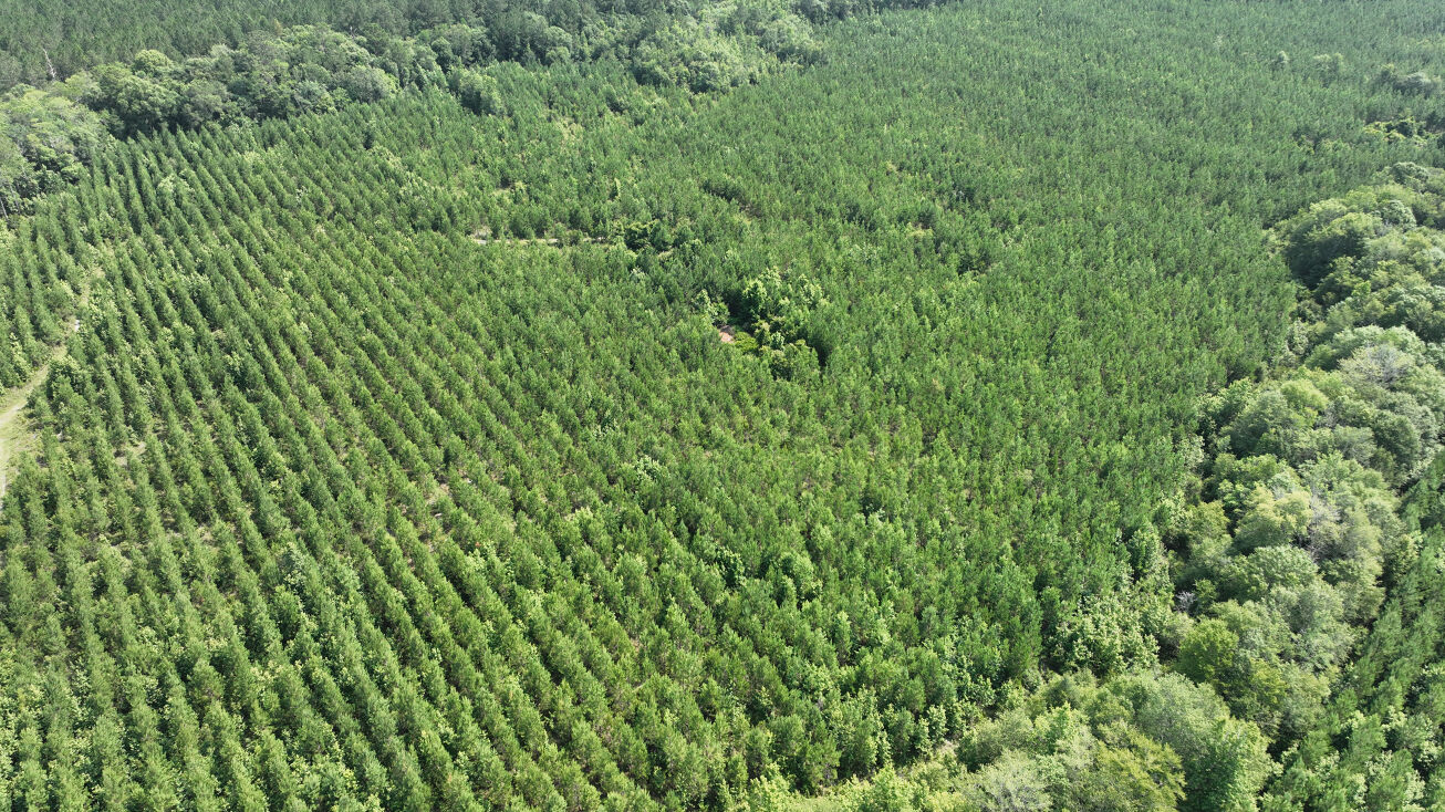 Oak Hill Rd, Blackshear, GA 31516