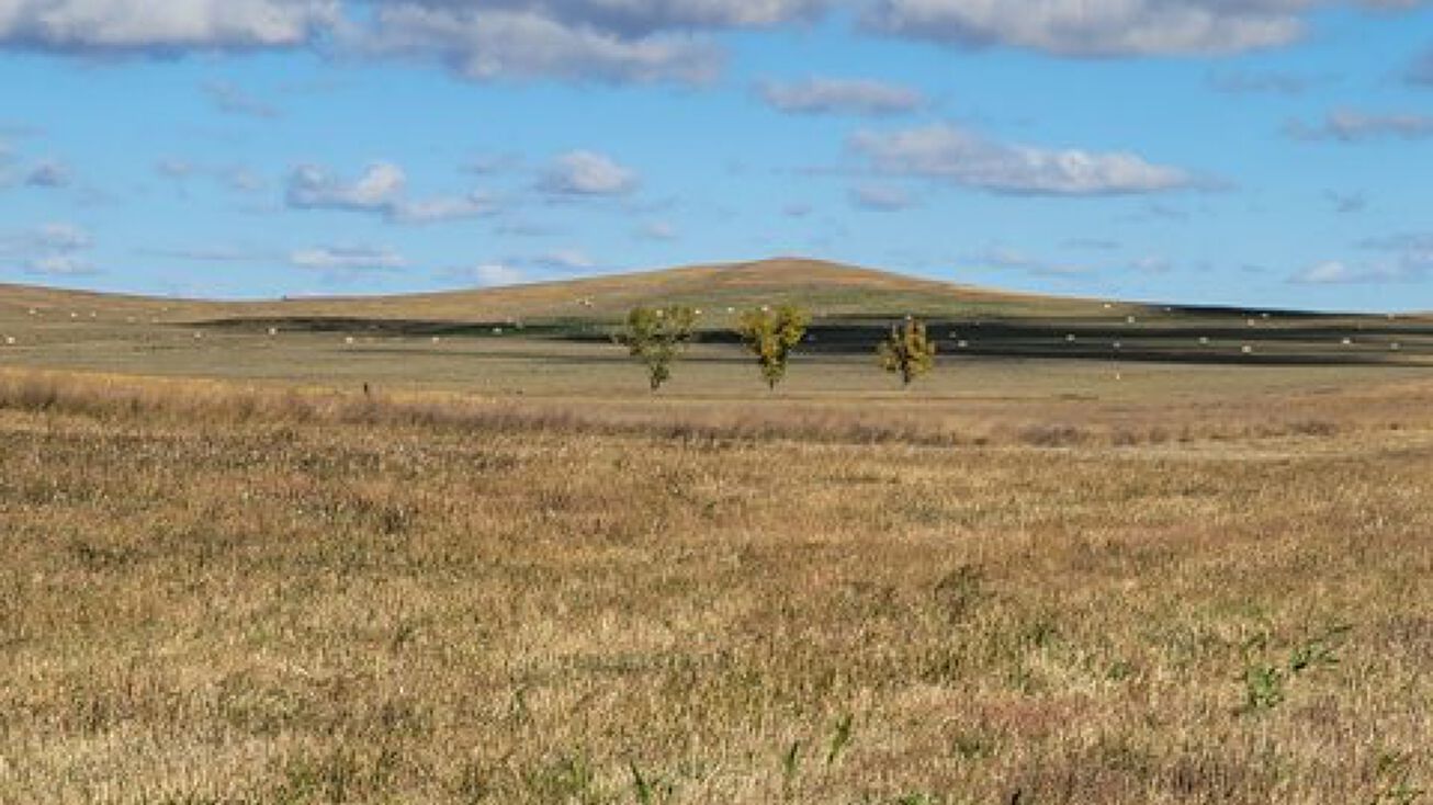 239th St, Vivian, SD 57576