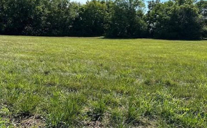 Pictures of Land property located at TBD W 1st Street, Peculiar, MO 64078 for sales - image #1