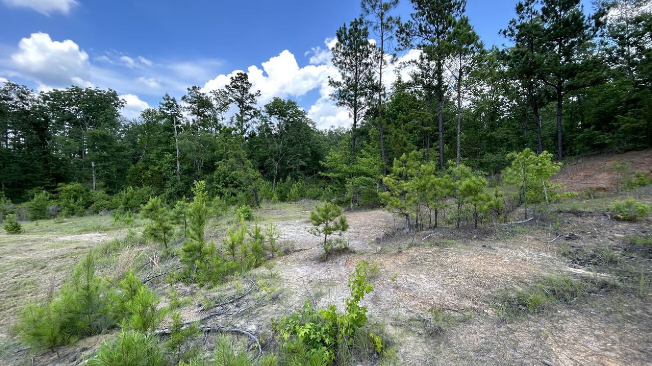 5210 S US Hwy 79, Palestine, TX 75803