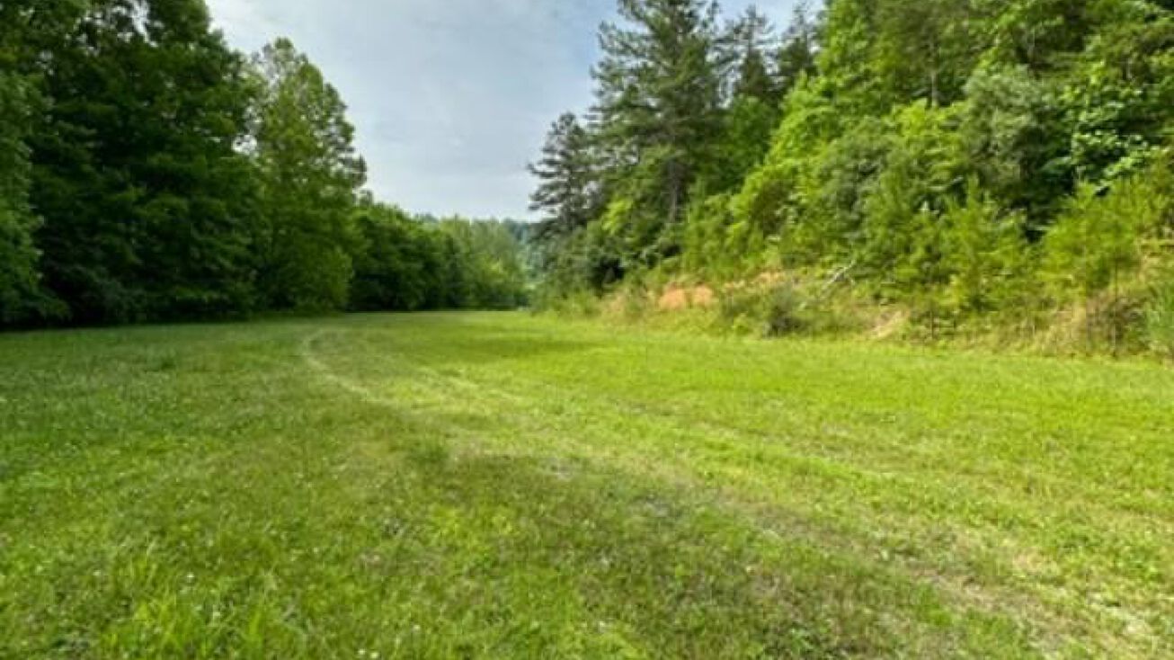 60 KY172, Staffordsville, KY 41256