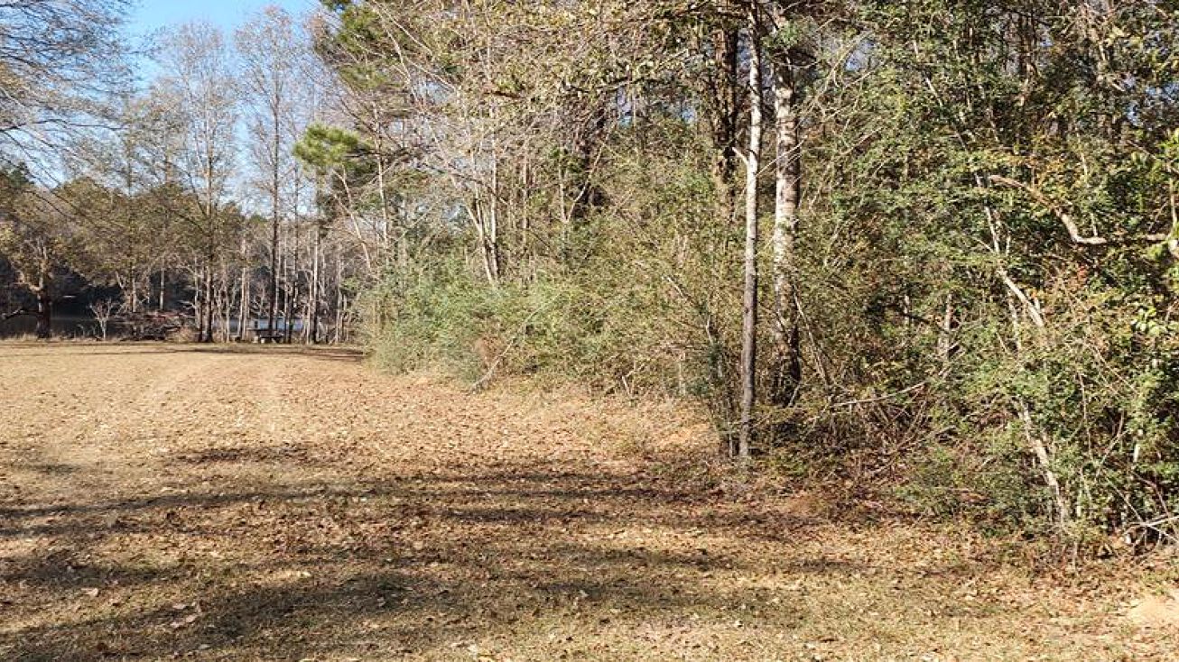 5N of Hwy 26, Lumberton, MS 39455 Land for Sale 5N of Hwy 26