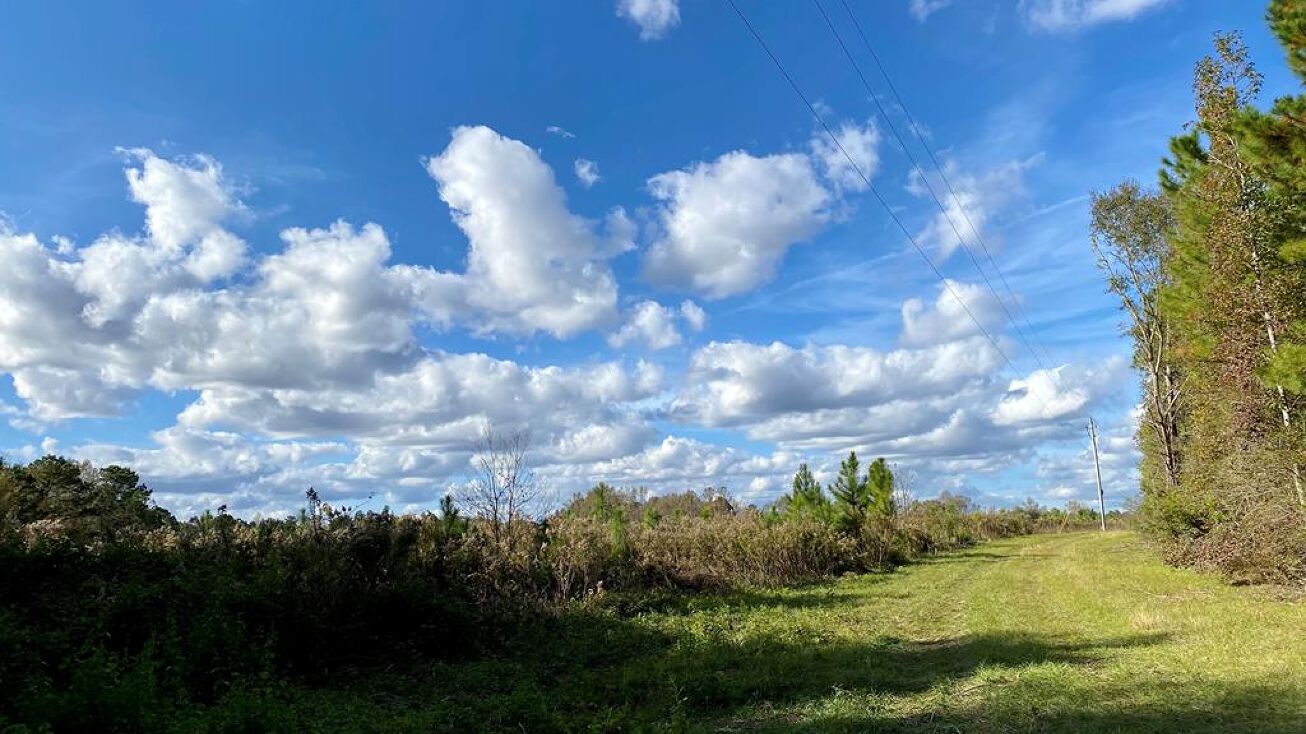 68 Shepherd's Hill, Carriere, MS 39426 Land for Sale 68 Shepherd's Hill