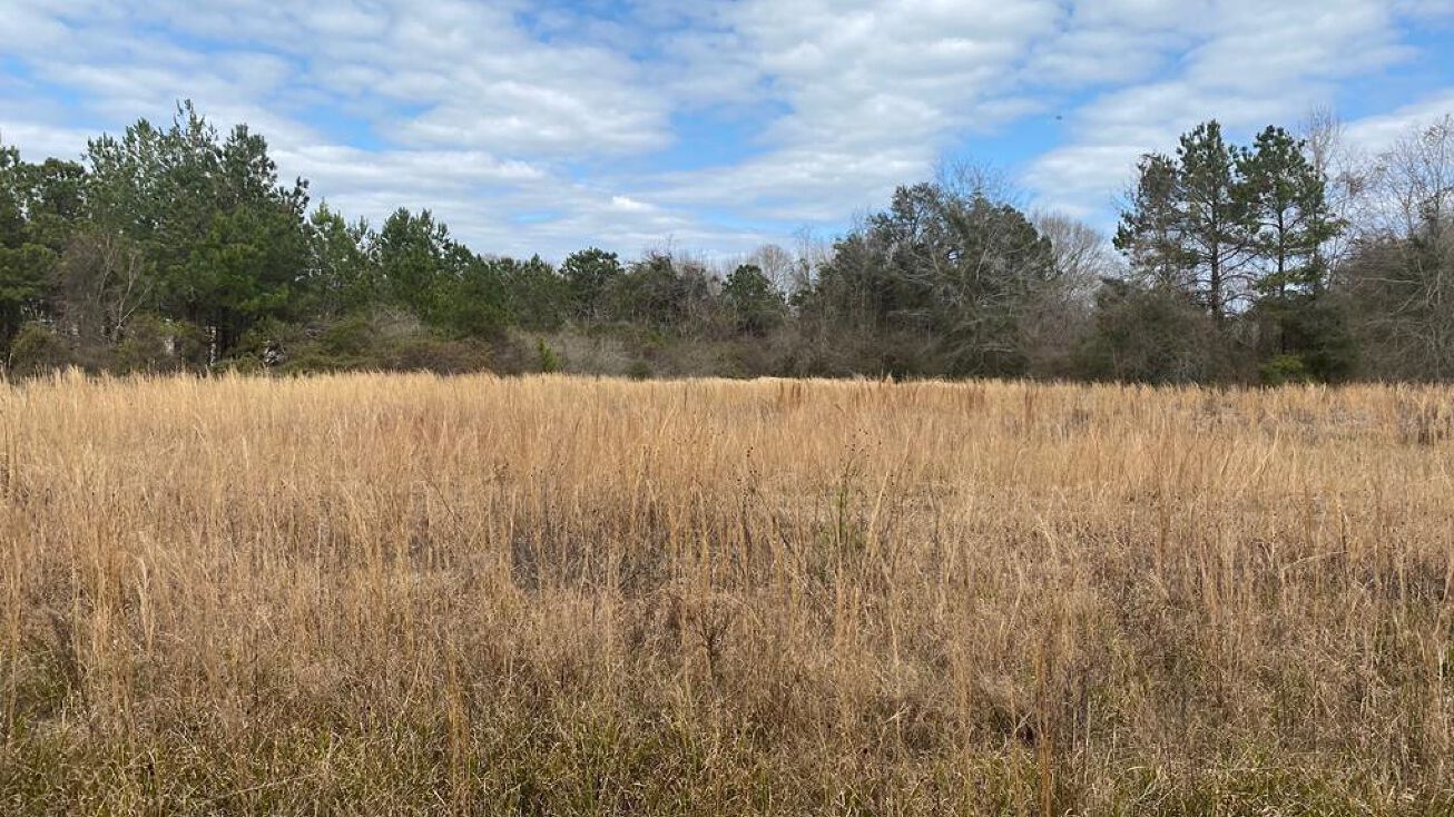 0 Frontage Road, Picayune, MS 39466 Land for Sale 0 Frontage Road