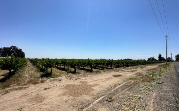 Pictures of Land property located at 13884 N Locust Tree Rd, Lodi, CA 95240 for sales - image #1