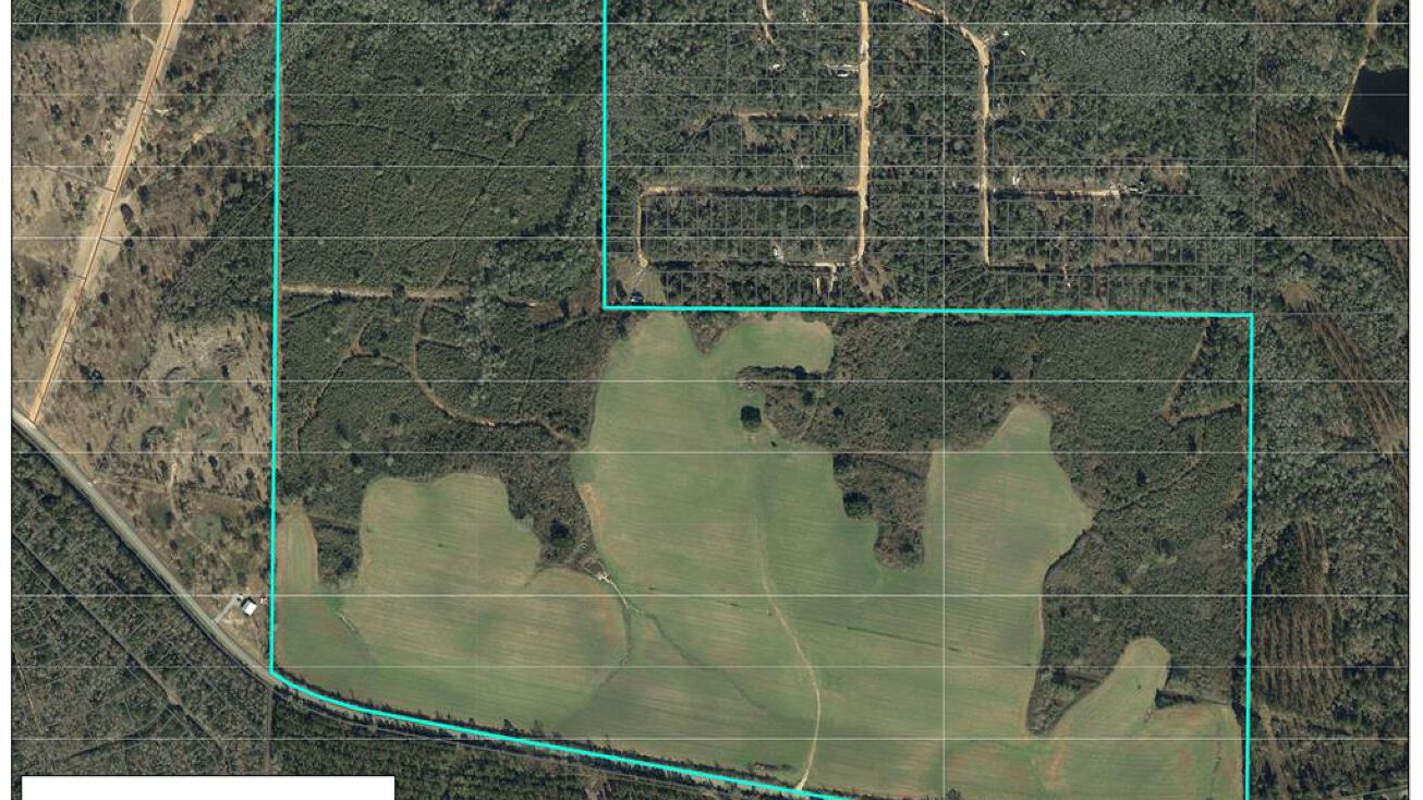 391 Hillsdale Gumpond Rd, Lumberton, MS 39455 Land for Sale 391