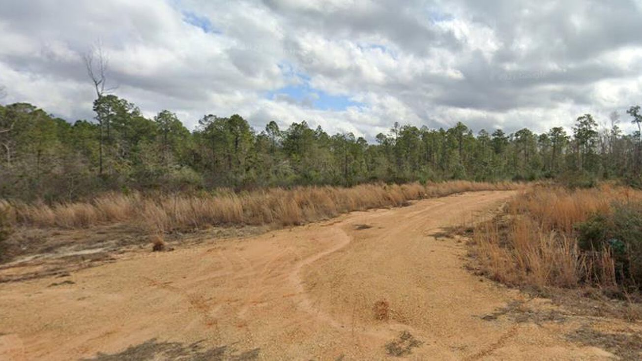 000 Dummy Line Rd, Picayune, MS 39466 Land for Sale Dummyline Rd