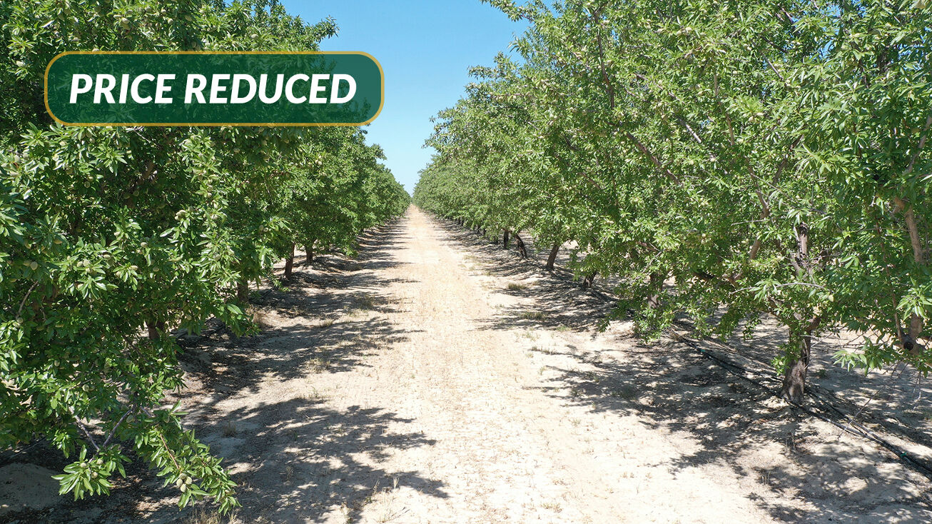 American Ave., west of Hwy 145, San Joaquin, CA 93660 Land for Sale