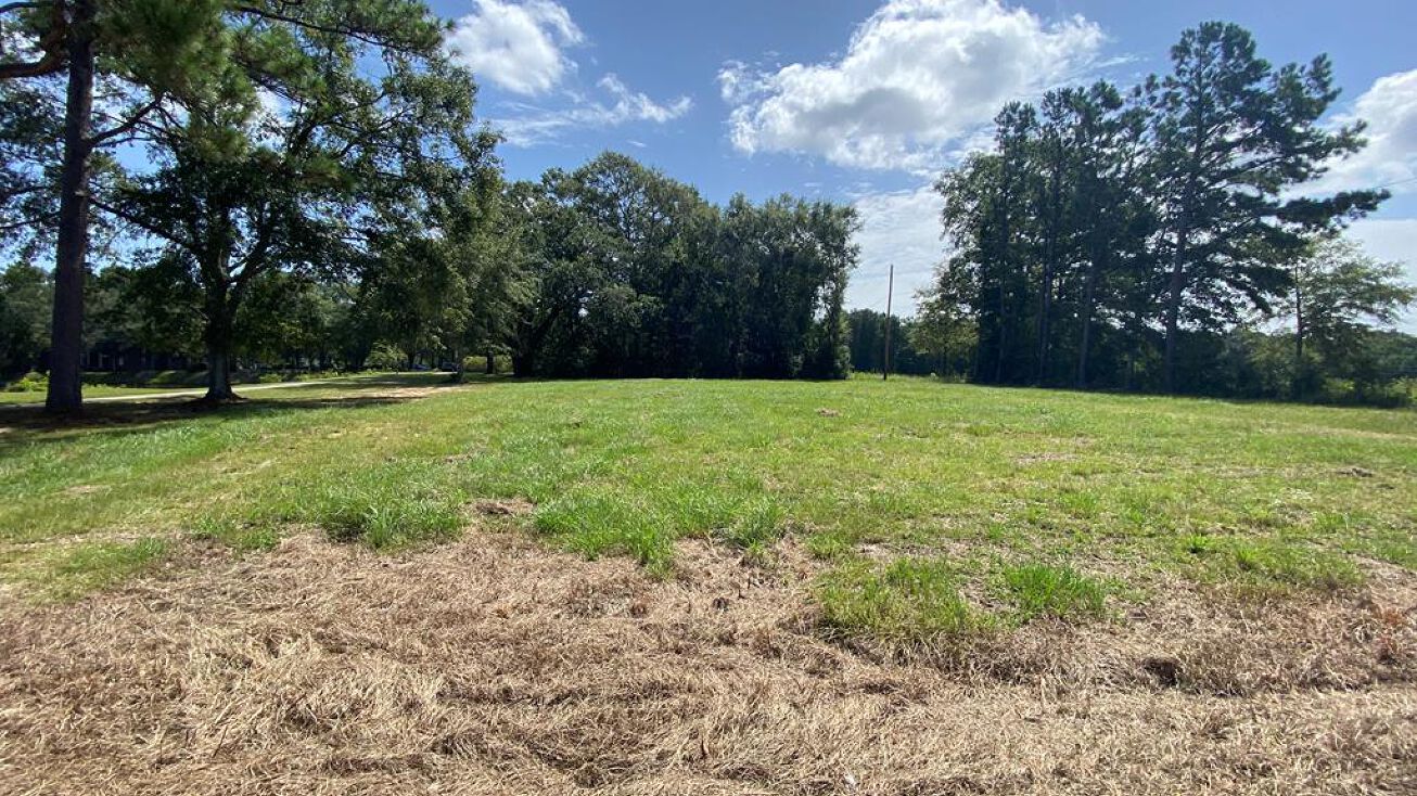 1Picayune City Limits, Carriere, MS 39426 Land for Sale 1Picayune