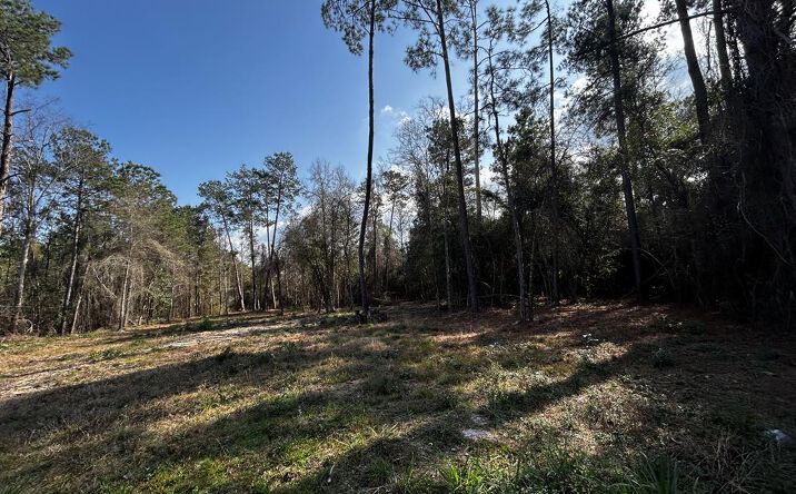 Pictures of Land, Multifamily, Special Purpose property located at Lakeside Dr, Carriere, MS 39426 for sales - image #1