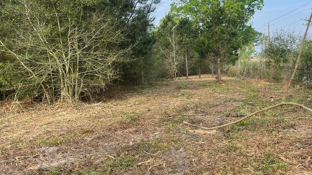 TR 02 Buck Kirkland Rd, Poplarville, MS 39470 Land for Sale TR 02