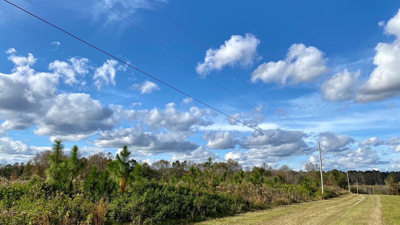 68 Shepherd's Hill, Carriere, MS 39426