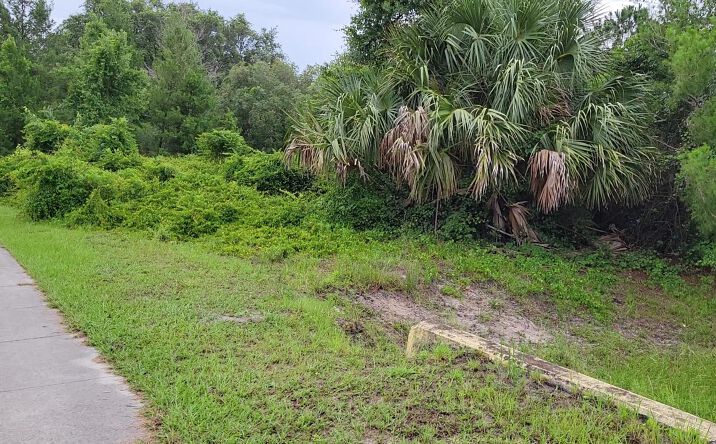 Pictures of Land property located at 2041 Catalina Blvd, Deltona, FL 32738 for sales - image #1