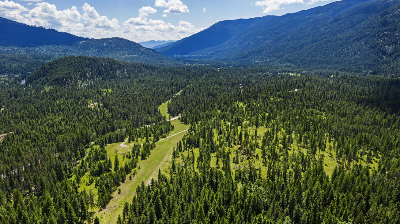 53453 US95, Bonners Ferry, ID 83805 Land for Sale 25.9 acres with