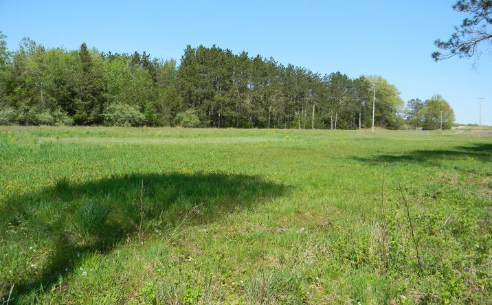 Pictures of Land property located at 4770 John Harland Dr, Ludington, MI 49431 for sales - image #1