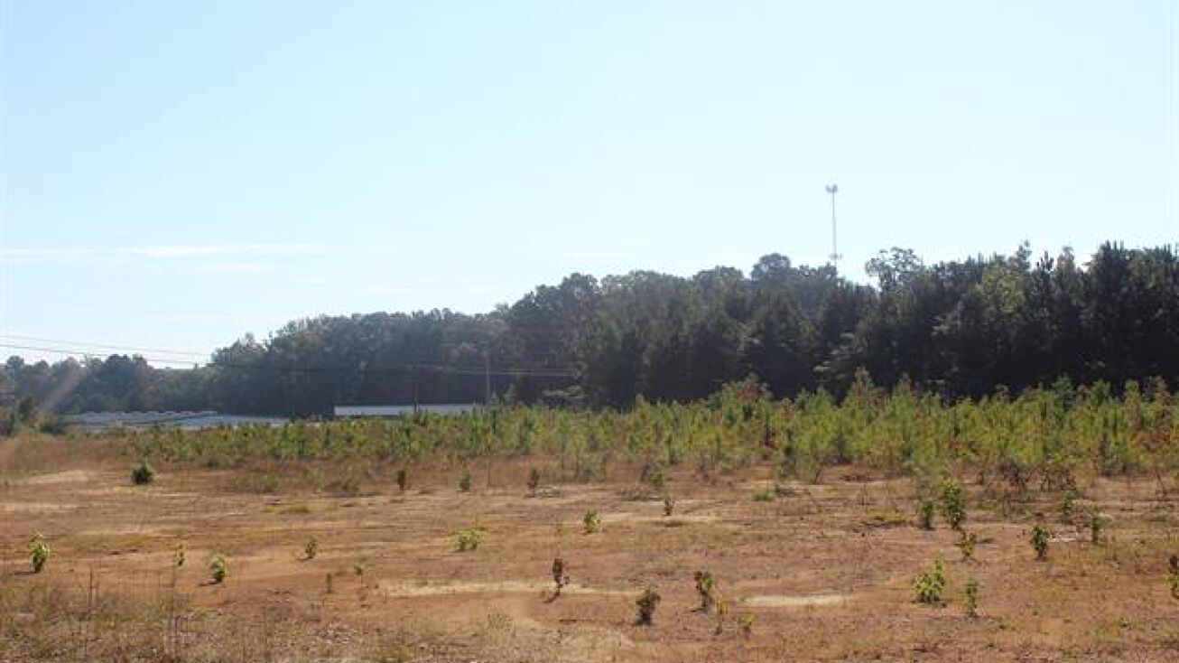 0 CR 715 Cullman AL 35055, Cullman, AL 35055 Land for Sale MLS501488