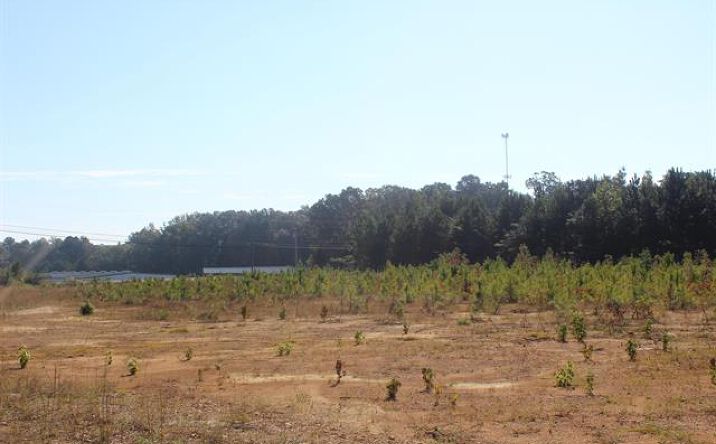 Pictures of Land property located at 0 CR 715 Cullman AL 35055, Cullman, AL 35055 for sales - image #1