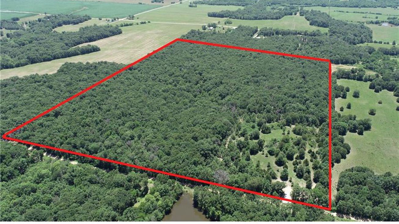 4780 E 1500 Road, Jerico Springs, MO 64756 Land for Sale 4780 E 1500 Road