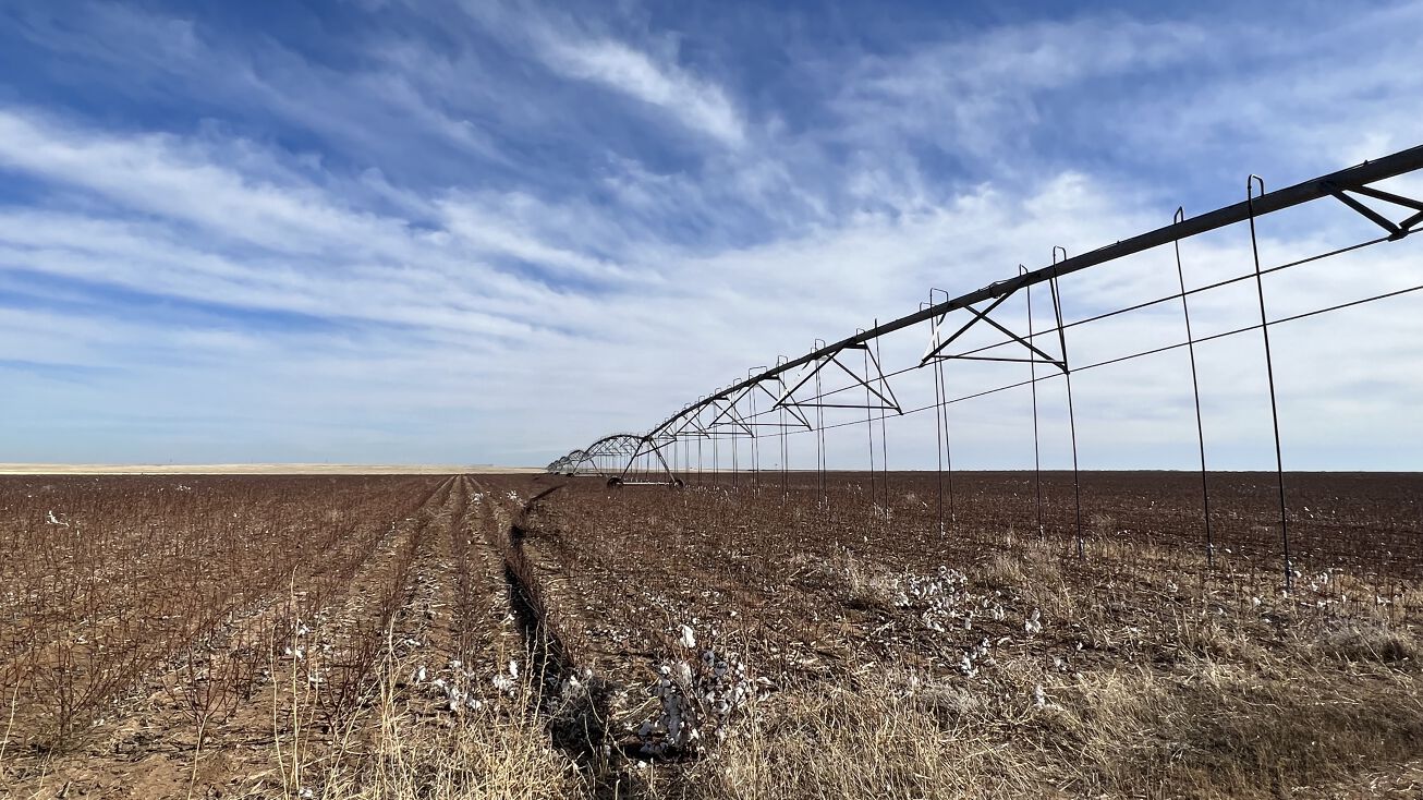 Wayside Rd, Wayside, TX 79094