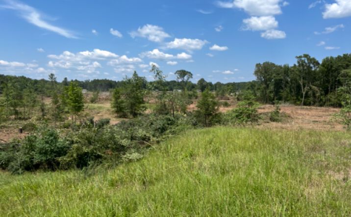 Pictures of Land property located at 000 Hwy 167 Dallas County Fordyce, AR 71742, Fordyce, AR 71742 for sales - image #1