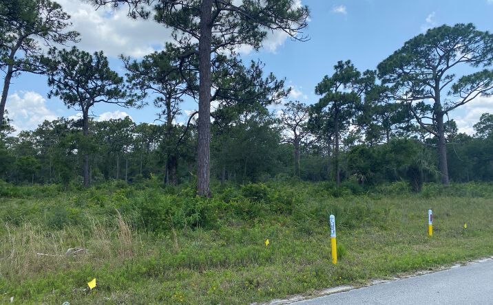 Pictures of Land property located at Lot 4 - Commerce Drive, Melbourne, FL 32904 for sales - image #1