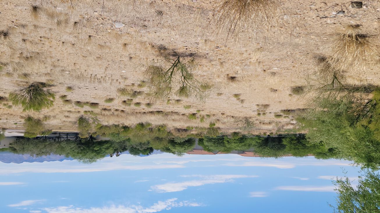 3140 S Prosperous Pl, Green Valley, AZ 85614 Land for Sale Santa