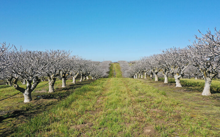 Pictures of Land property located at N. of intersection of Ave. 27 ½ and Rd. 26, Chowchilla, CA 93610 for sales - image #1