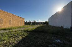 11746448
