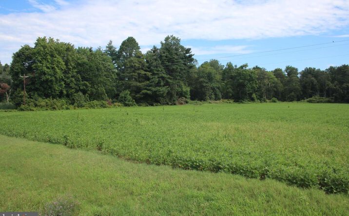 Land For Sale Denton Md