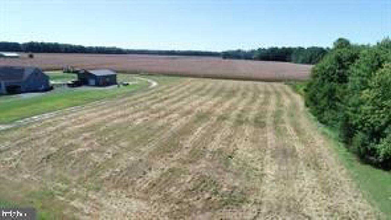 Burrsville Branch Rd, Denton, MD 21629