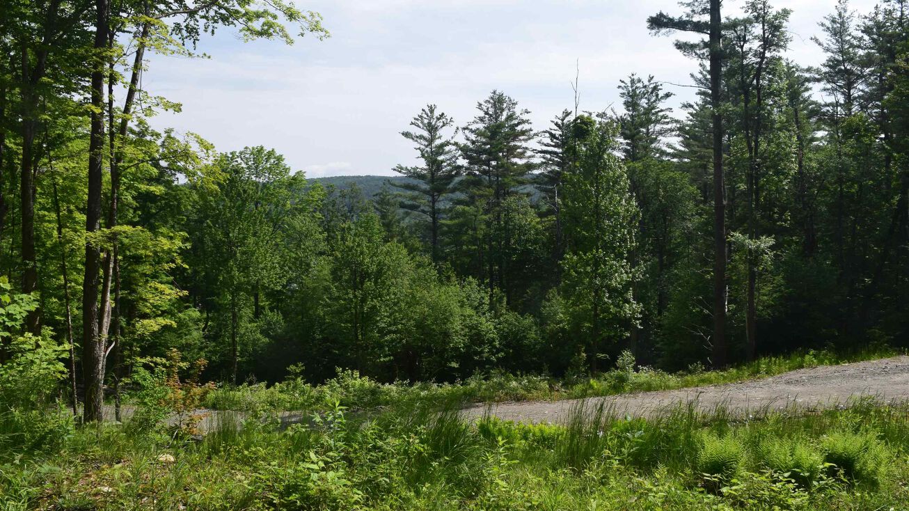 73 Stratton Arlington Rd, Wardsboro, VT 05360