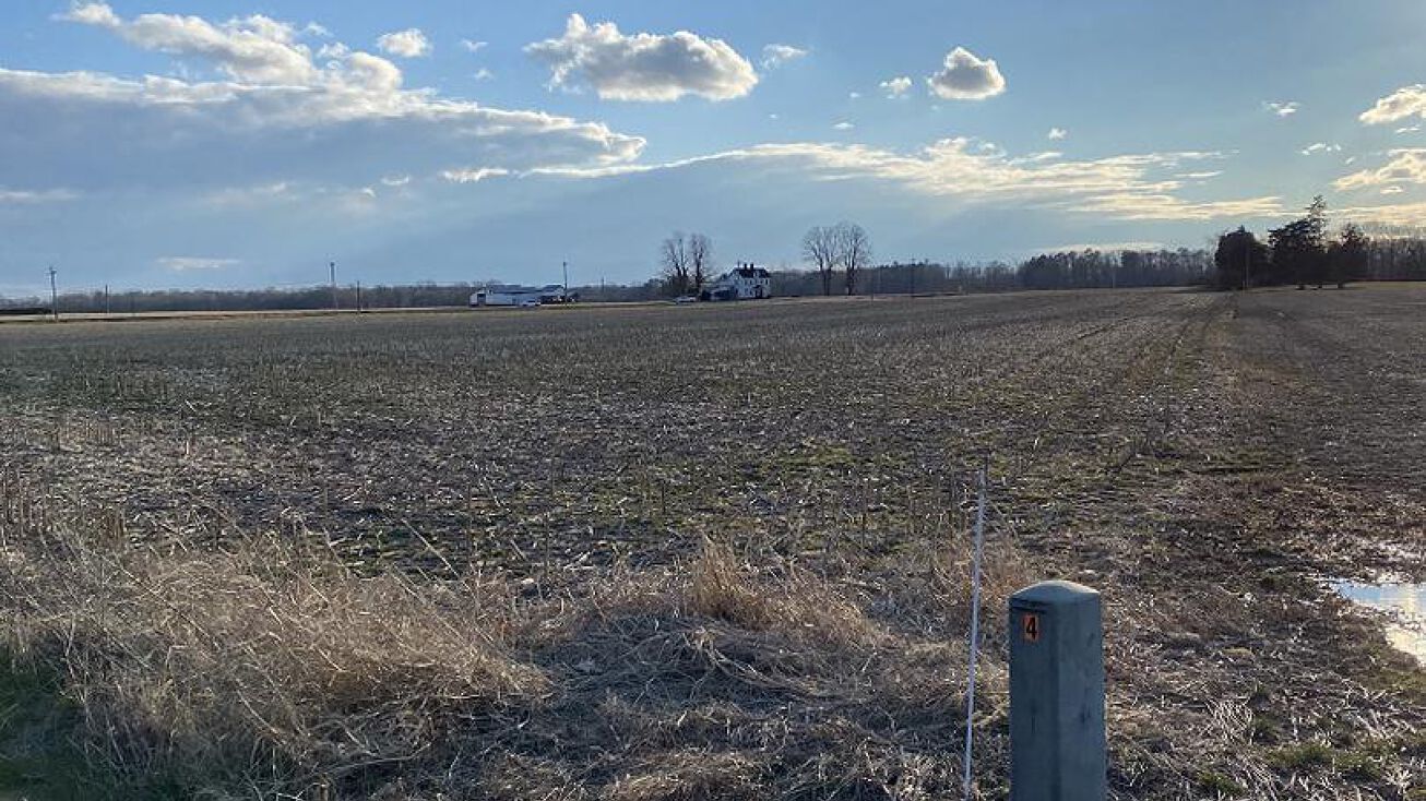 Black Dog Alley, Easton, MD 21601