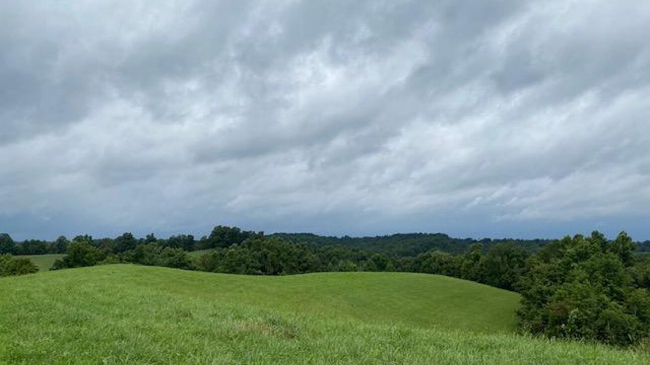 504 Olive St, Olive Hill, KY 41164