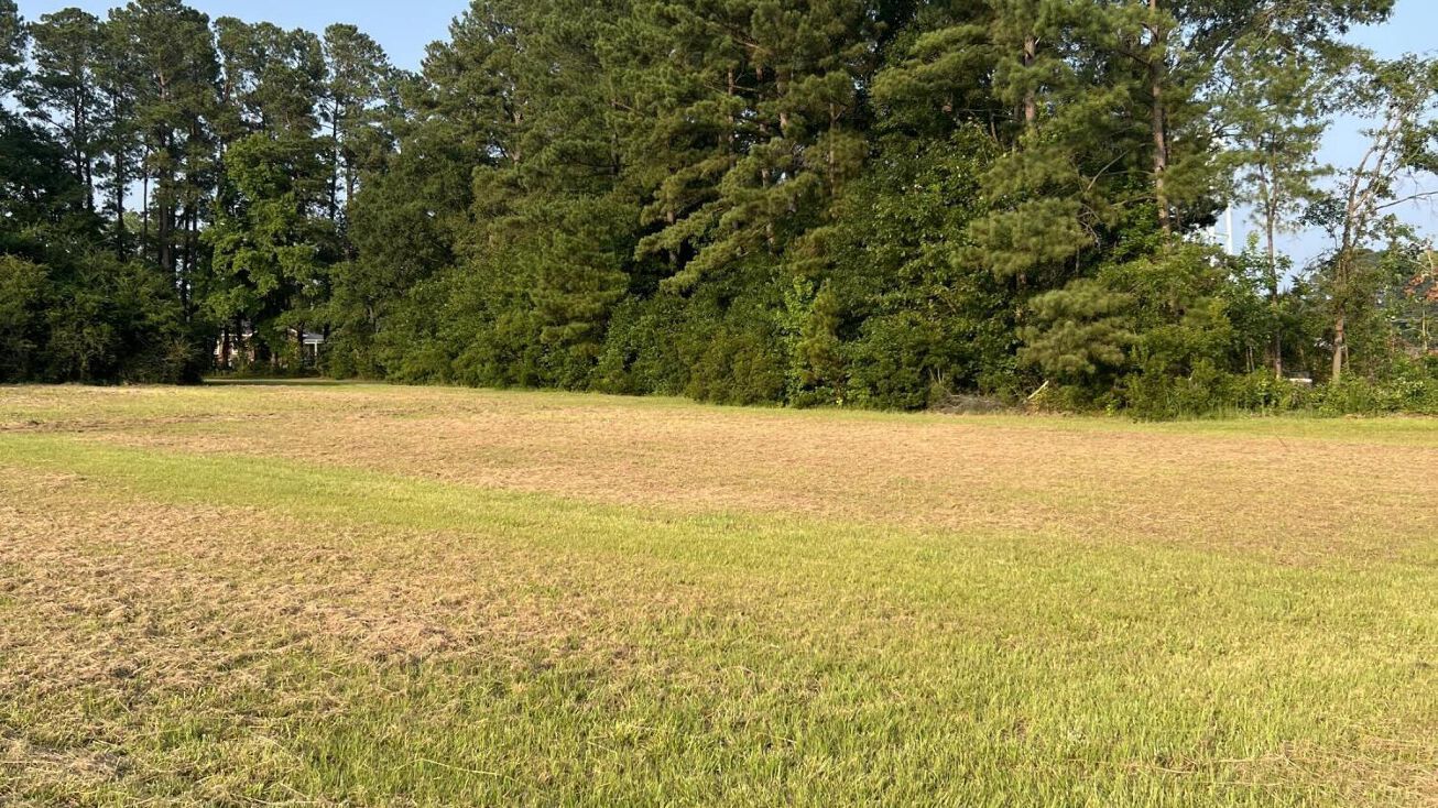 0 S W R Latham Street, Clarkton, NC 28433