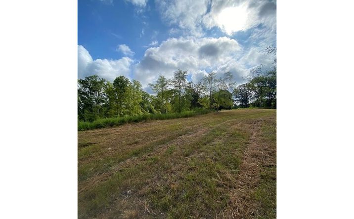 image of property at 1624 STATE RD S-46-323 York SC 29745