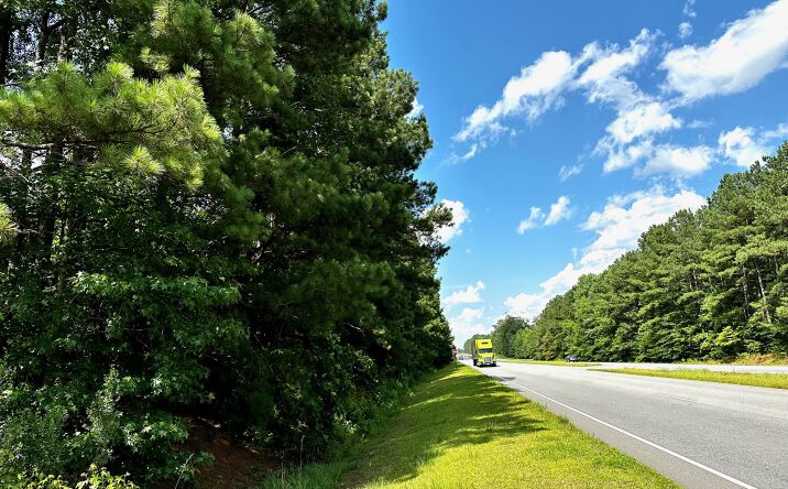 Pictures of Land property located at US-64, Jamesville, NC 27846 for sales - image #1