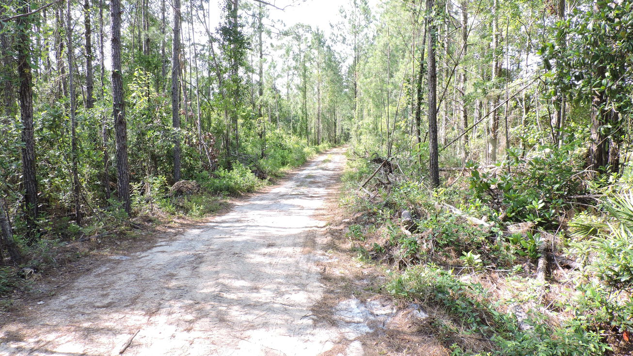 130 Grainger Ln, Palatka, FL 32177