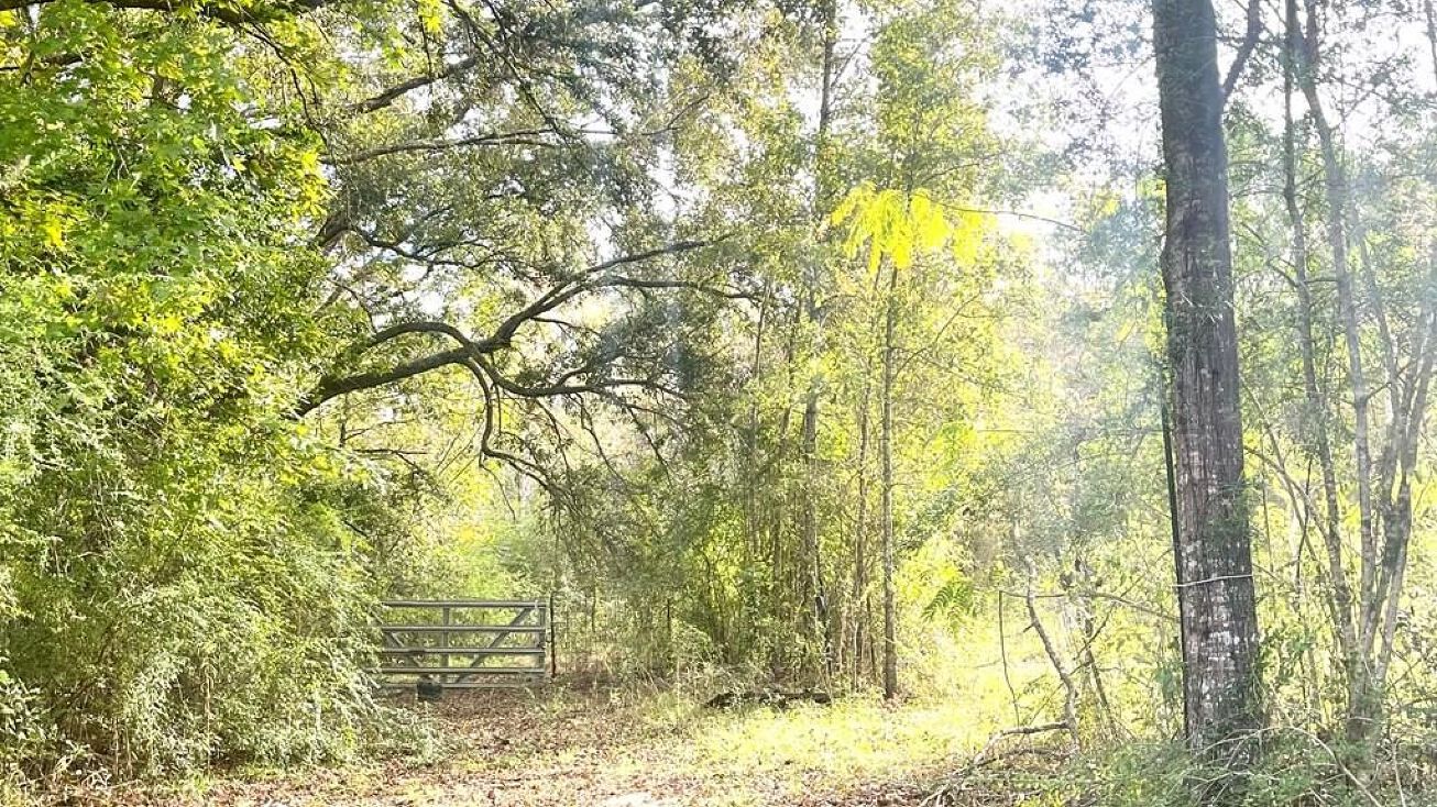 67 Mars Island Rd, Picayune, MS 39466 Land for Sale 67 Mars Island Rd